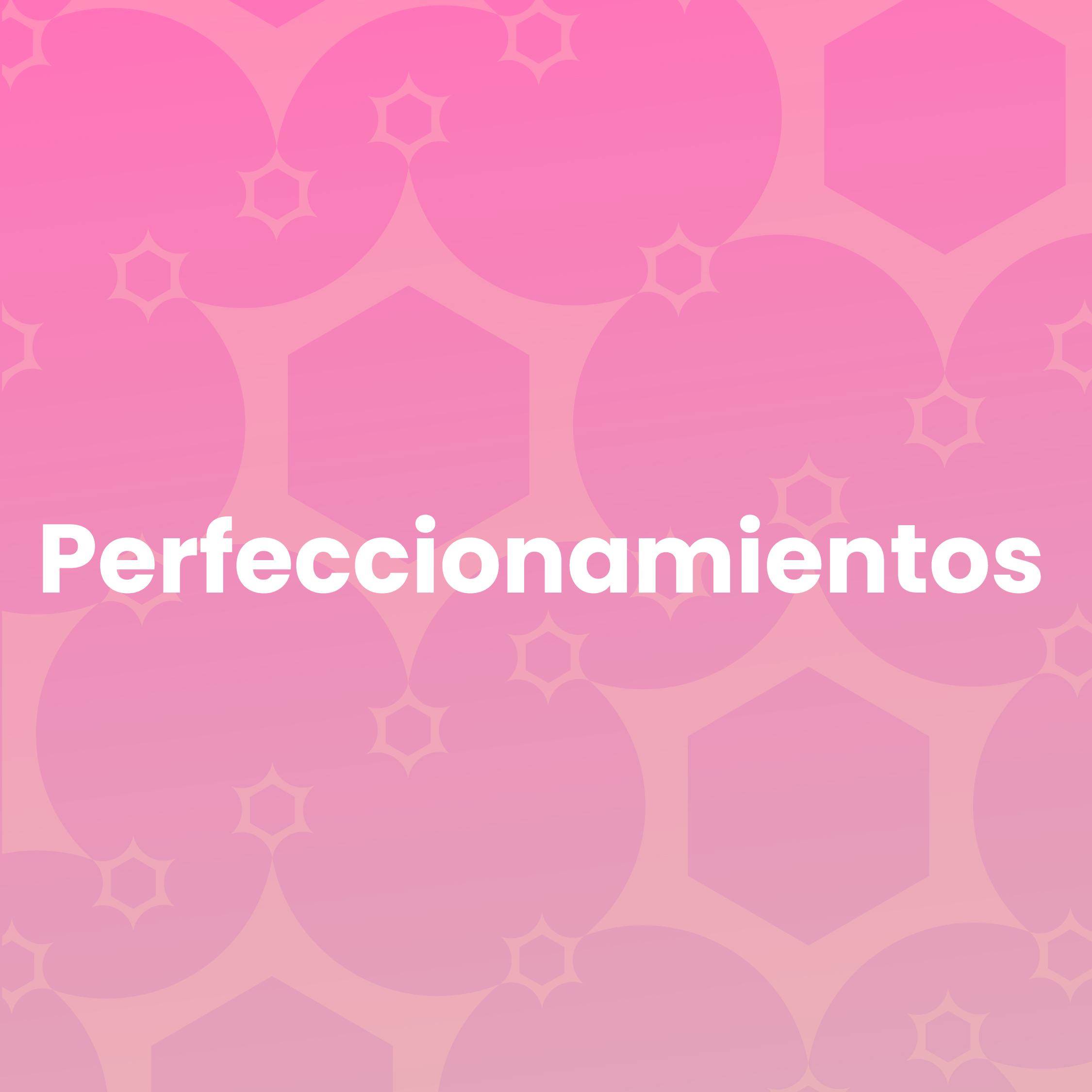 CAT. Perfeccionamiento-06