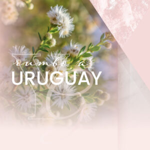 Paysandu - URUGUAY